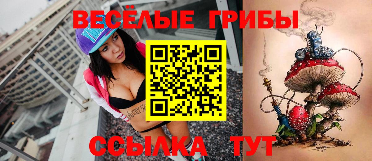 Белово  Псилоцибиновые грибы прущие грибы  Вход с VPN 